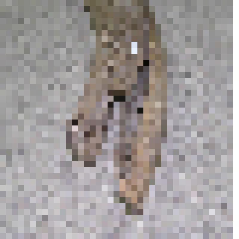 Бивень мамонта. Бивень мамонта (обломок)