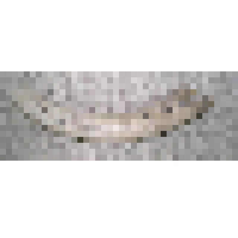 Бивень мамонта. Бивень мамонта (обломок)