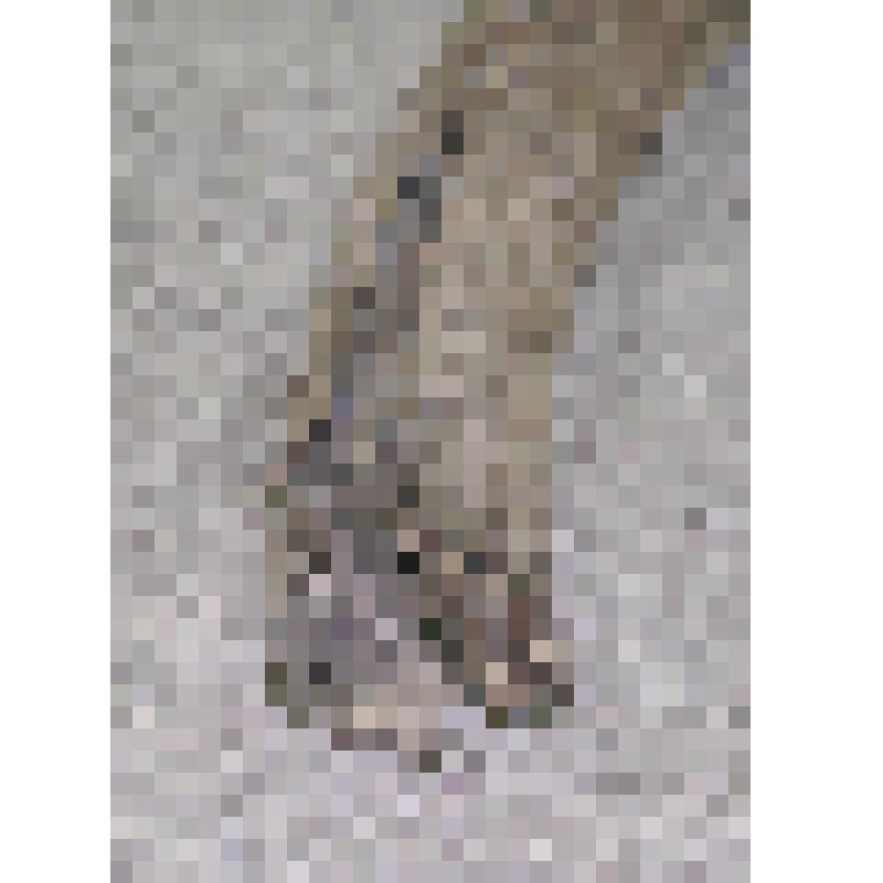 Бивень мамонта. Бивень мамонта (обломок)