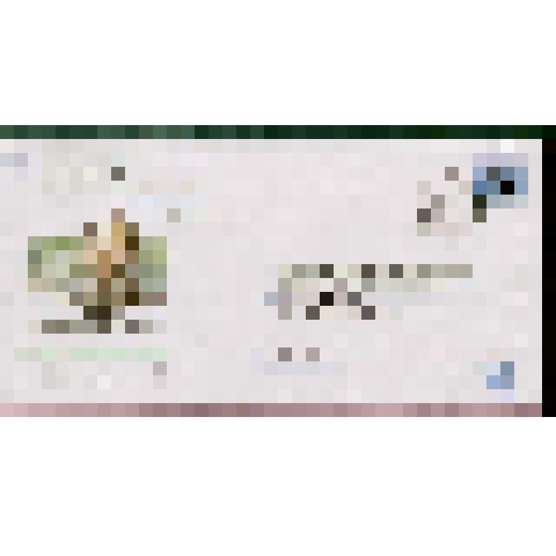 Конверт почтовый. "Российский ученый, один из основоположников структурной кристаллографии и минералогии Е.С. Федоров. 1853-1919". Фонд Каёты Г.М