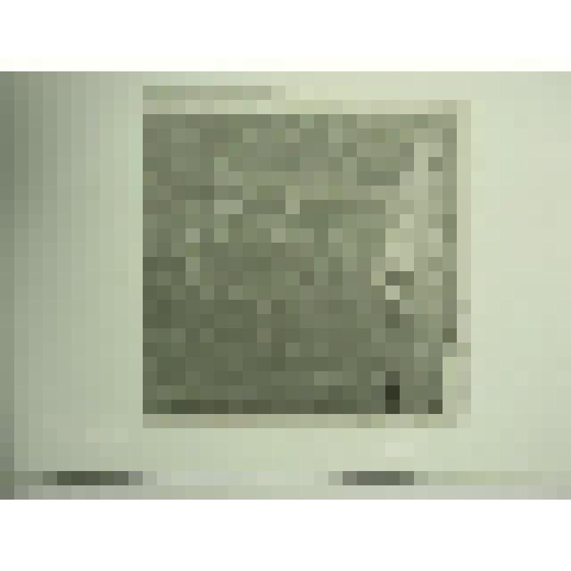 Елизаветинские ворота. Воскресенский Новоиерусалимский монастырь. Московская область, г. истра. XVII в. Московская  обл., Истринский р-н, г. Истра. Воскресенский Новоиерусалимский монастырь. Крепостная стена,1690-1694 гг. Бухвостов Яков Григорьевич. Запад