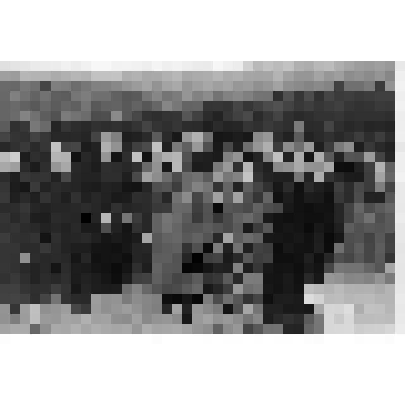 Фотография. Групповой портрет. Россейкин Б.М., первый директор панорамы в 1954-1959 гг., художники Гранди В.И. и Беляев Б.Н., участники воссоздания панорамы "Оборона Севастополя 1854-1855 гг.", на смотровой площадке панорамы среди посетителей