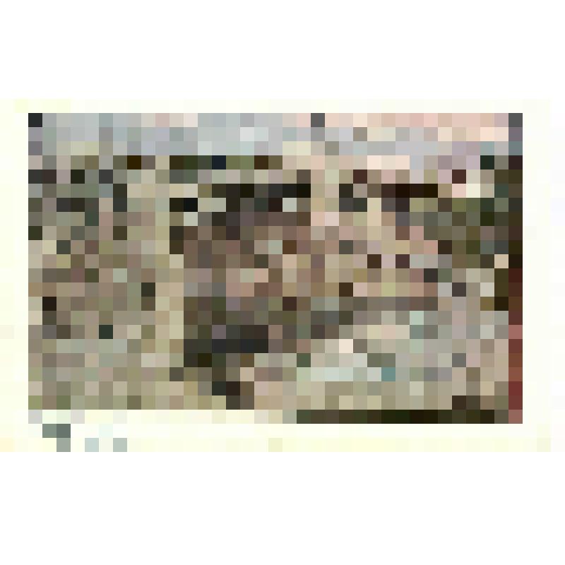 Каменный мост, из Коллекции открыток, собранной А.В.Недошивиным. Альбом № 14. Открытка почтовая