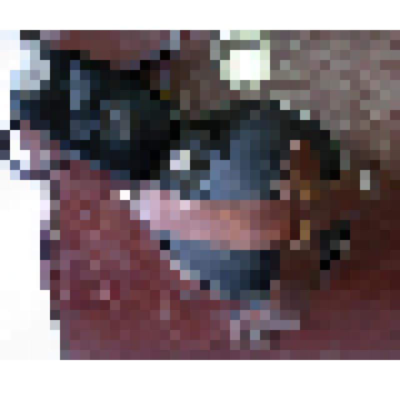 Фотовспышка "Луч-61" с батареей "Молния" в футляре