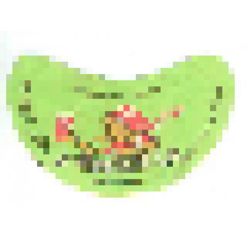 Кольеретка-этикетка горловая к напитку «Лимонад» производства Карачаевского пивобезалкогольного завода, из коллекции кольереток – этикеток горловых к безалкогольным напиткам