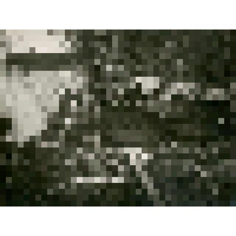 Фотография. Холбо (тунгусский сруб-вешала) для осенней рыбы