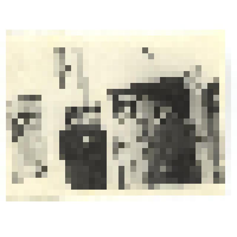 Фотография групповая. Трунова Ида Абрамовна у входа в здание редакции газеты "Железнодорожник Сахалина"