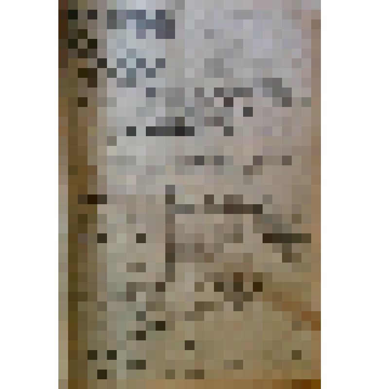Газета «Прикамская жизнь» за 1911 год,  №55 за 11.03.1911