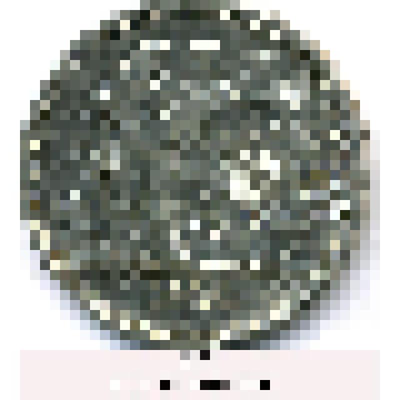 Монета. Один рубль