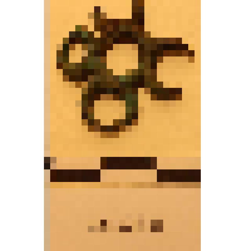 Пряжка пятикольчатая