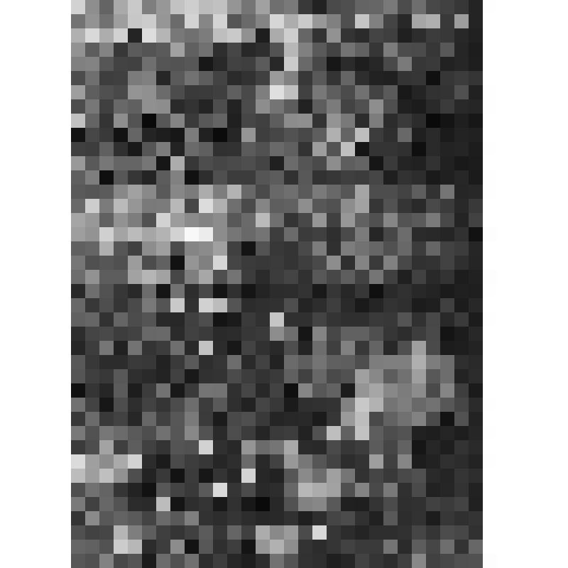 Большой дворец. Западный Китайский кабинет. Восточная стена. Панно № 4 "Рисовая плантация". Фрагмент обрамления