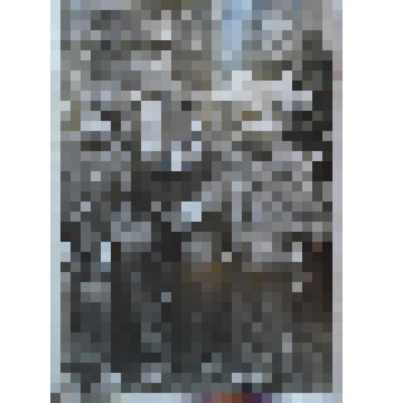 Фото групповое Ауходеева М. С. с дочерью Минерой и соседскими детьми, 1977