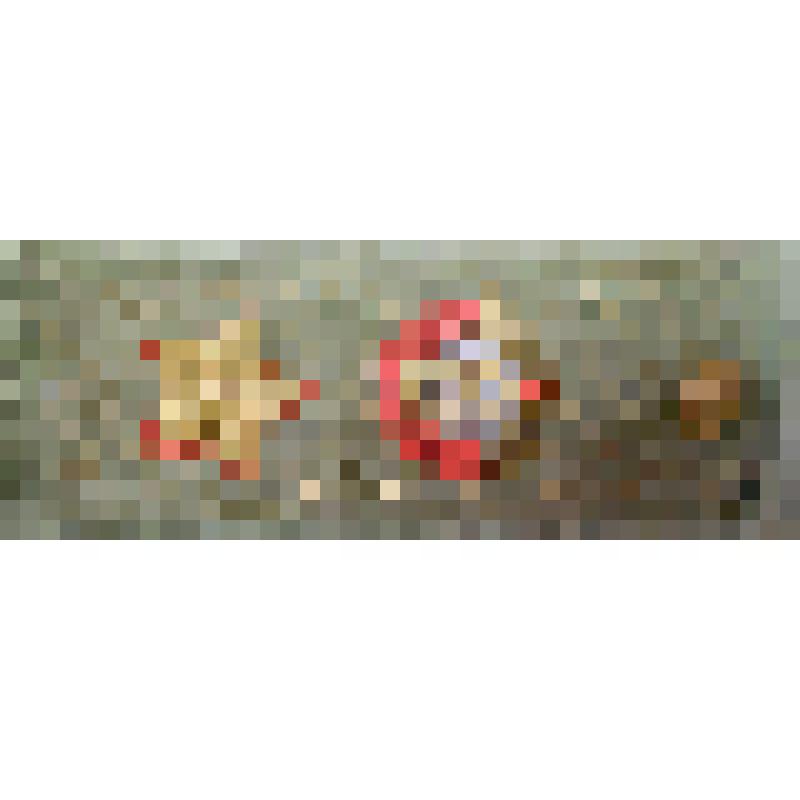 Погоны Рокоссовского Константина Константиновича