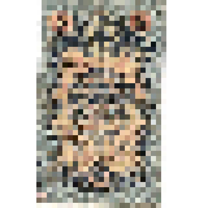 Билет кредитный, 5 рублей, 1909г., РЧ 167893