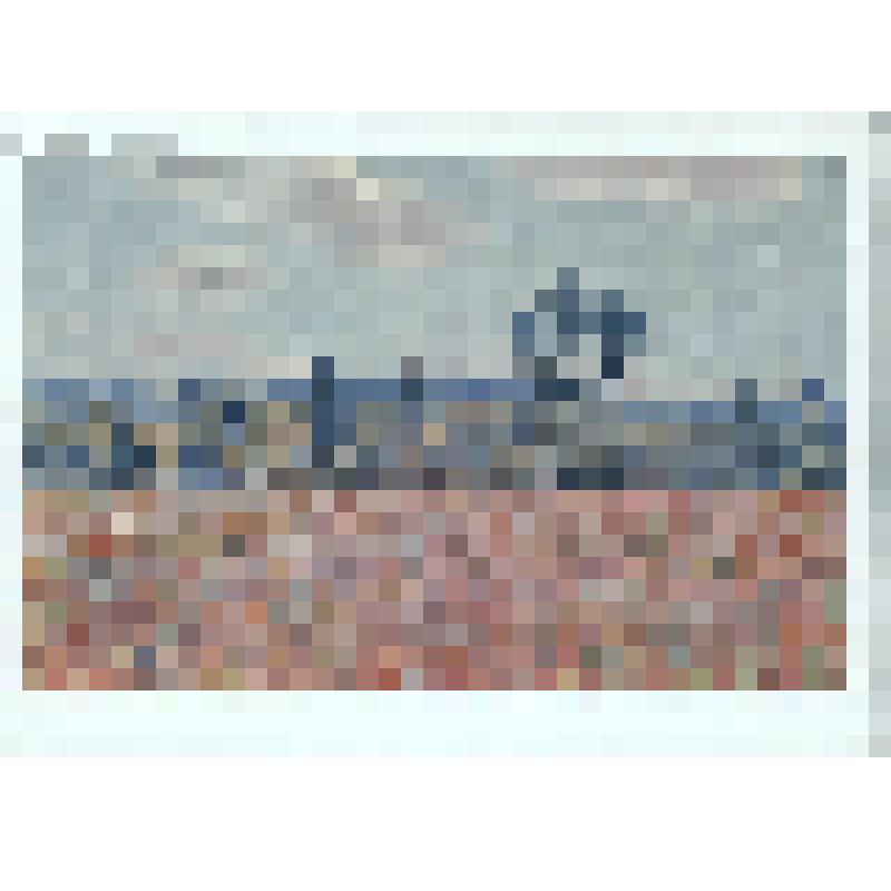 Поле маков. 1880 г. Репродукция картины Клода Моне. Государственный Эрмитаж