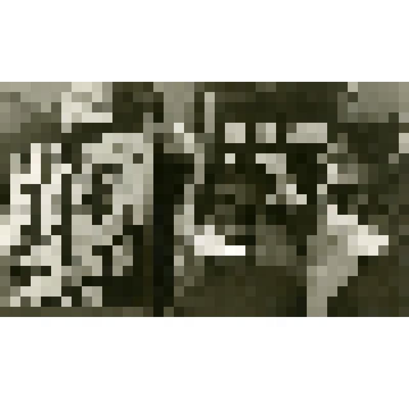 Фотография ч/б. На выставке графических работ Владимира Марьина