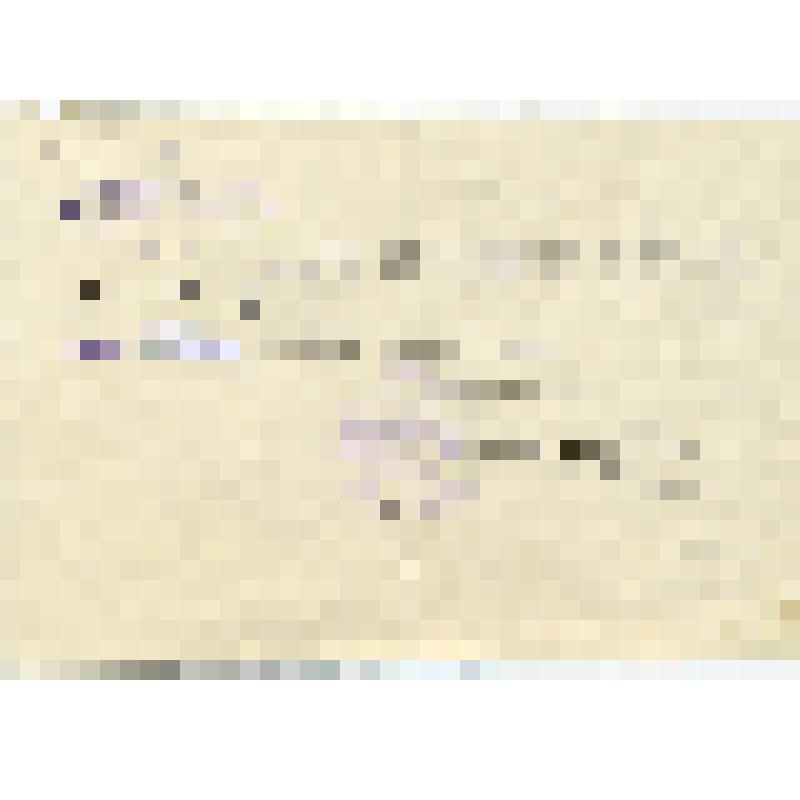 Справка № 3/64 от 10.03.1975 г. Бауманского райвоенкомата г. Москва о гибели майора Одарченко И. Н