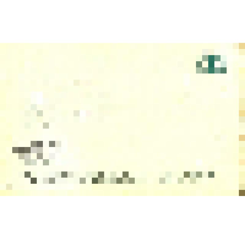 Фото-открытка цветная. Родион Нахапетов