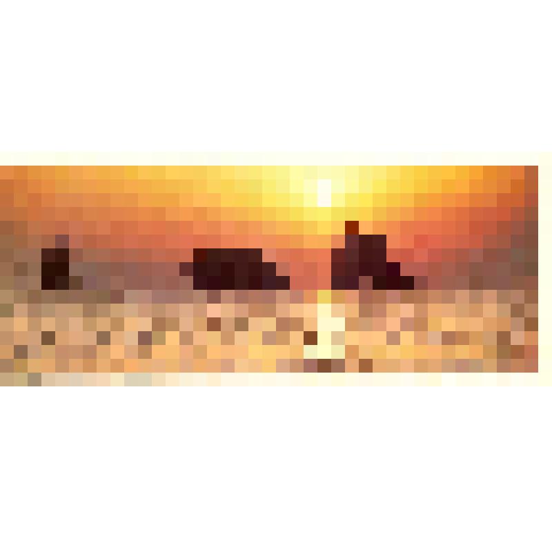 Комплект открыток «Восточный порт»