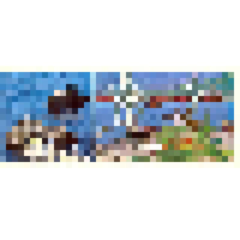 Комплект открыток «Восточный порт»