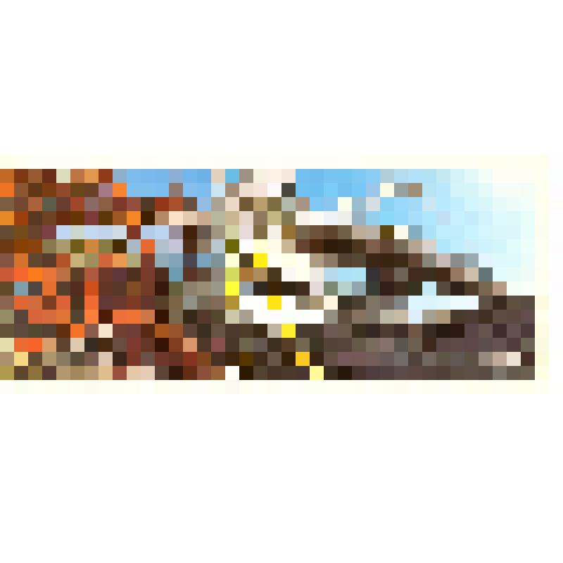 Комплект открыток «Восточный порт»