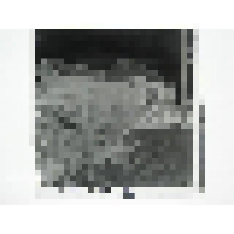 Дом Шумихина. Ул. Дзержинского, 41. втор.пол. XIX в. Челябинская  обл., г. Карабаш, пос. Южный (с.Саймоновское). Дом Шумихина. Ул. Дзержинского, 41. втор.пол. XIX в. Общий вид дома и левых ворот с улицы Дзержинского