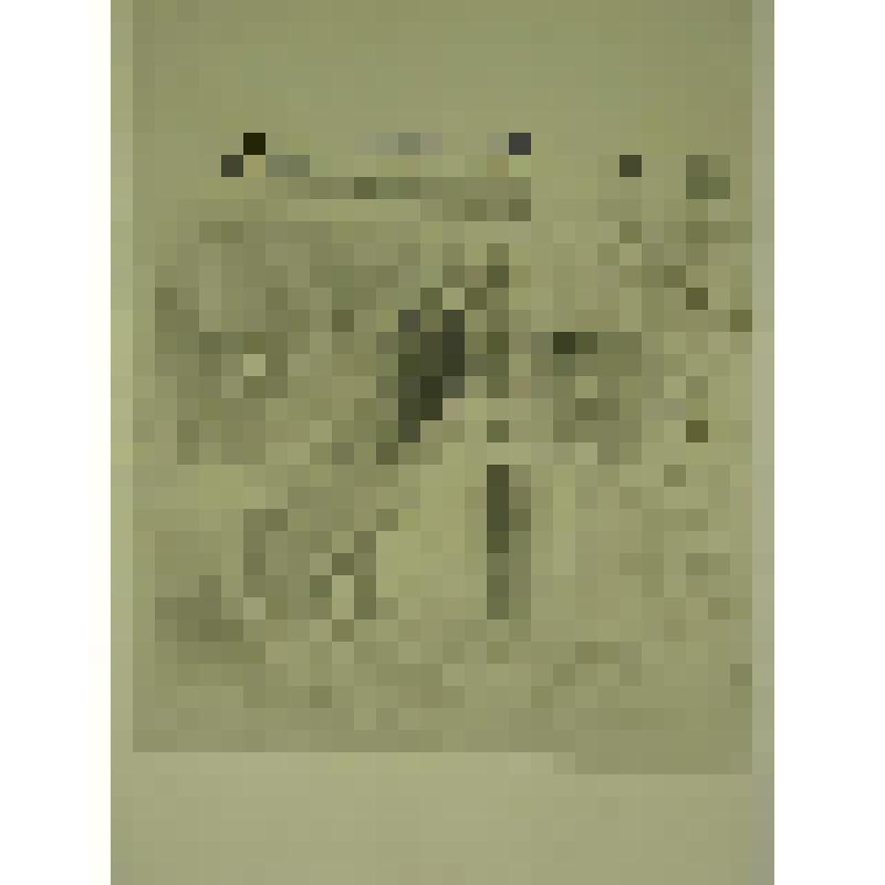 Дом Баранчиковых. Ул. Красный путь. 1880-е гг. Челябинская  обл., Кусинский р-н, с. Медведевка. Дом Баранчиковых. Ул. Красный путь. 1880-е гг. Крыльцо дворового фасада