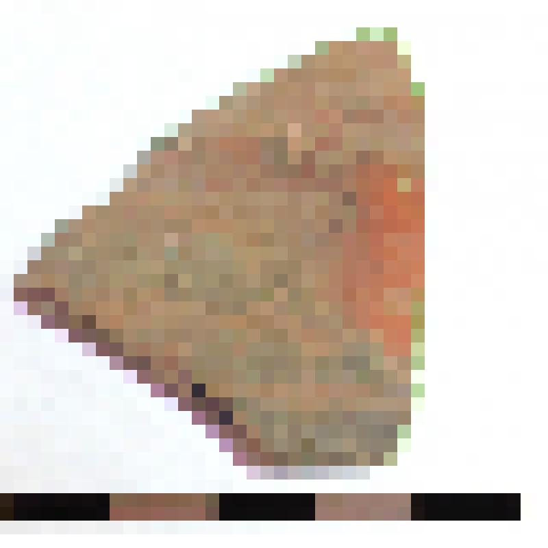 Фрагмент стенки гончарного кувшина с дипинти