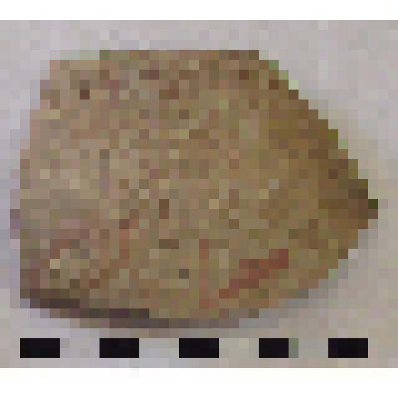 Фрагмент плеча с частью тулова амфоры типа D с дипинто