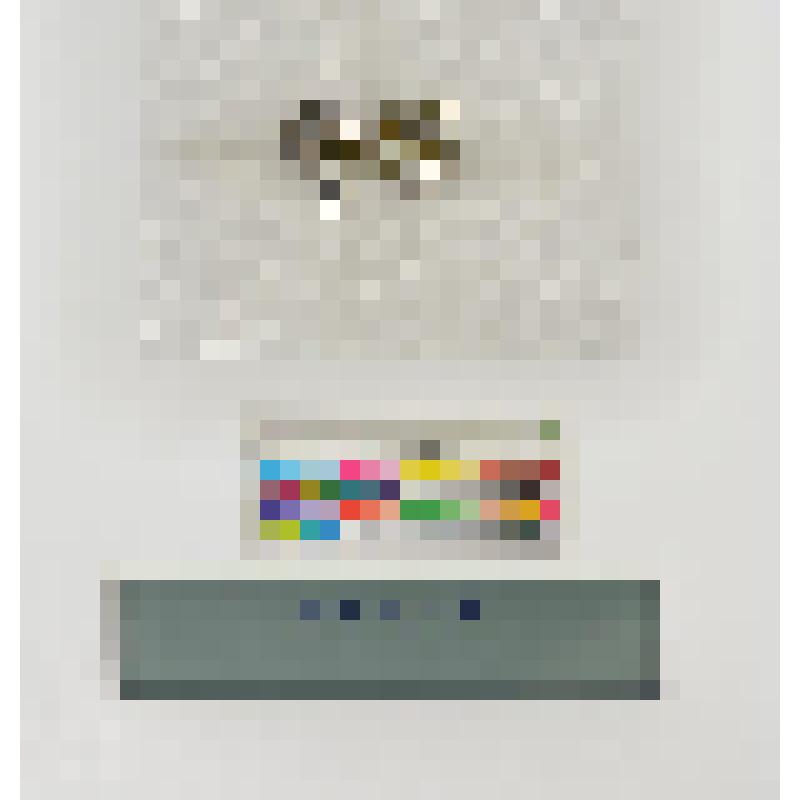 СССР. Значок. Сувенир-88 - Дракон