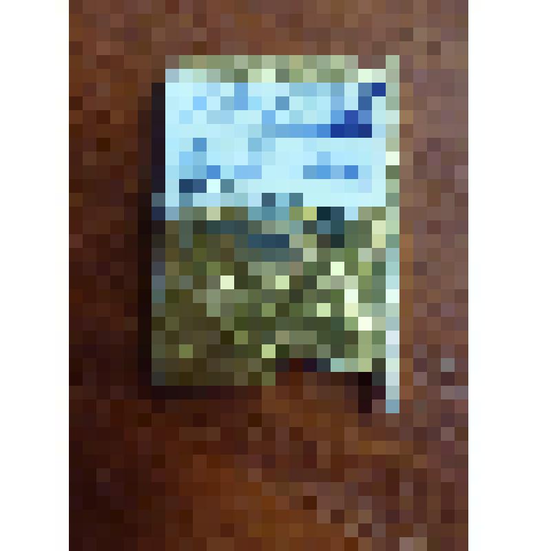 Значок "Депутат поселкового совета"