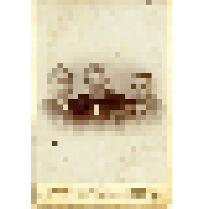 Фотография. Труховские Василий Иосифович, Анна Ивановна (родители Доминики Ванеевой) и женщина средних лет