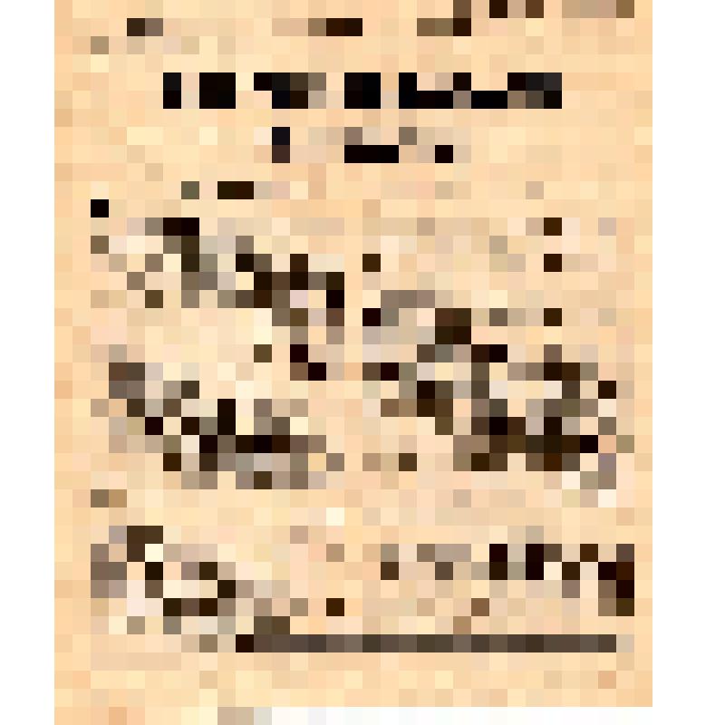 Издание ГлавПУРККА. BRATRI: (на чешск. яз.)