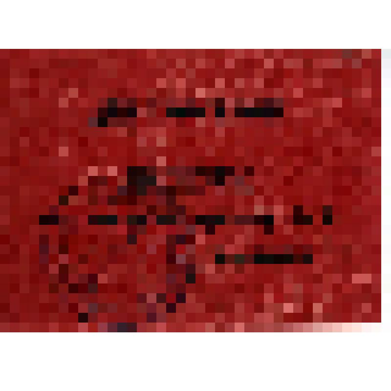 Днепрострой. Пропуск для входа на трибуну N 2