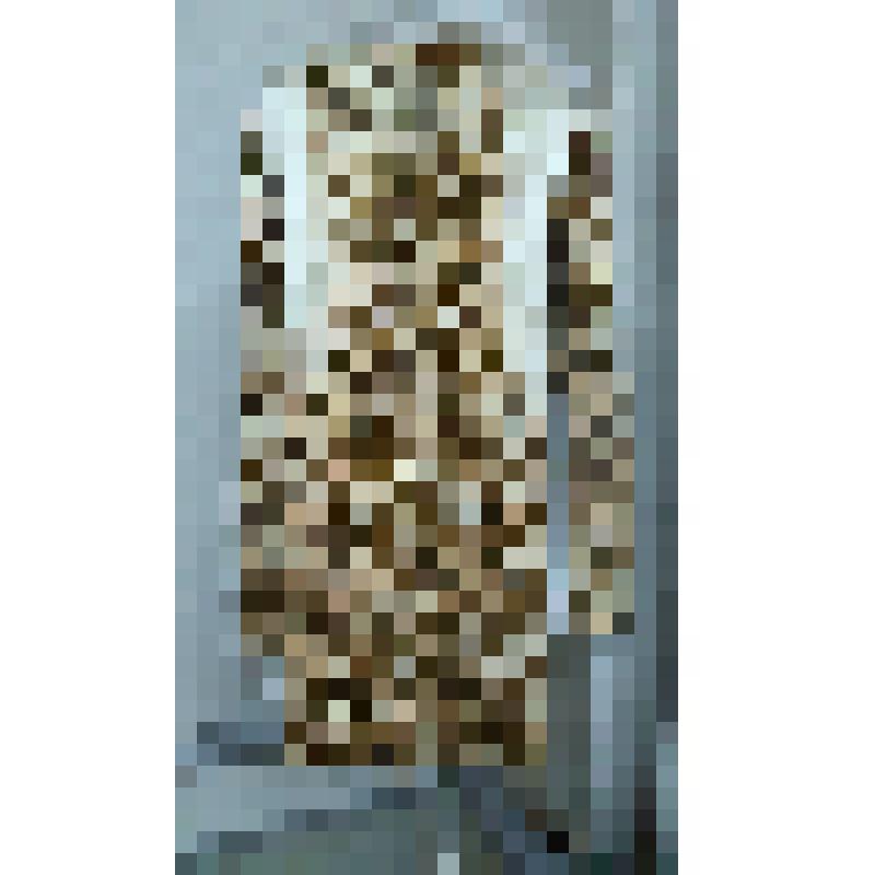 Деталь костюма П.Г.Лисициана к партии Мазепы. Кафтан нижний. "Мазепа". Чайковский П.; 1949, реж. Баратов Л.В., худ. Коровин К.А., Федоров Л.А