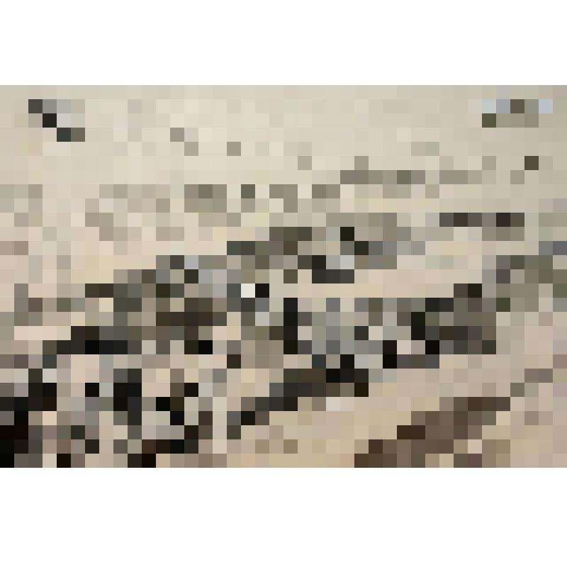 Графический лист. "Нагрузка гравия" (Работа транспортеров)