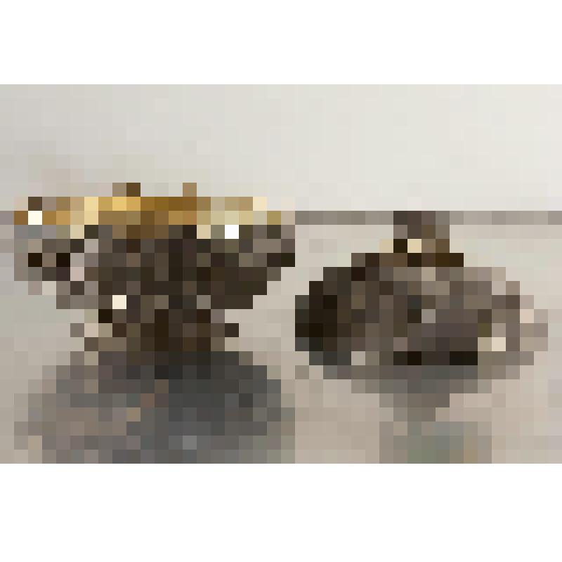 Крышка от миски в виде кочана капусты