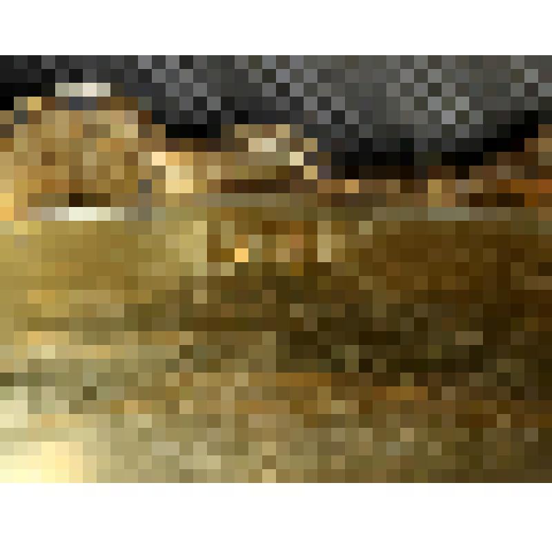 Крышка от миски в виде кочана капусты