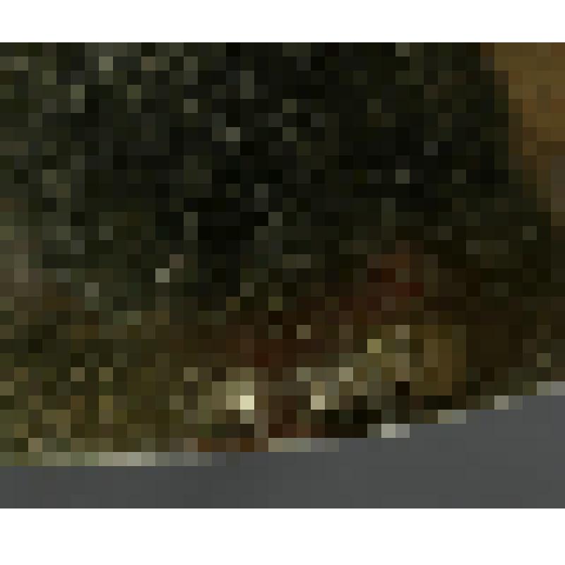 Крышка от миски в виде кочана капусты