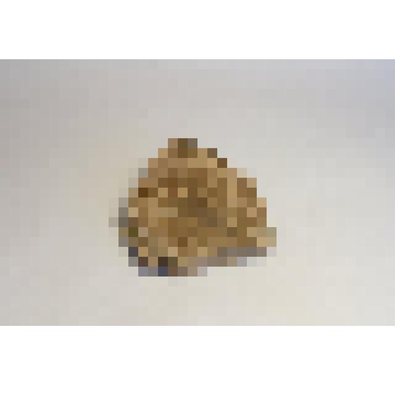 Строительный материал "Известняк коралловый"