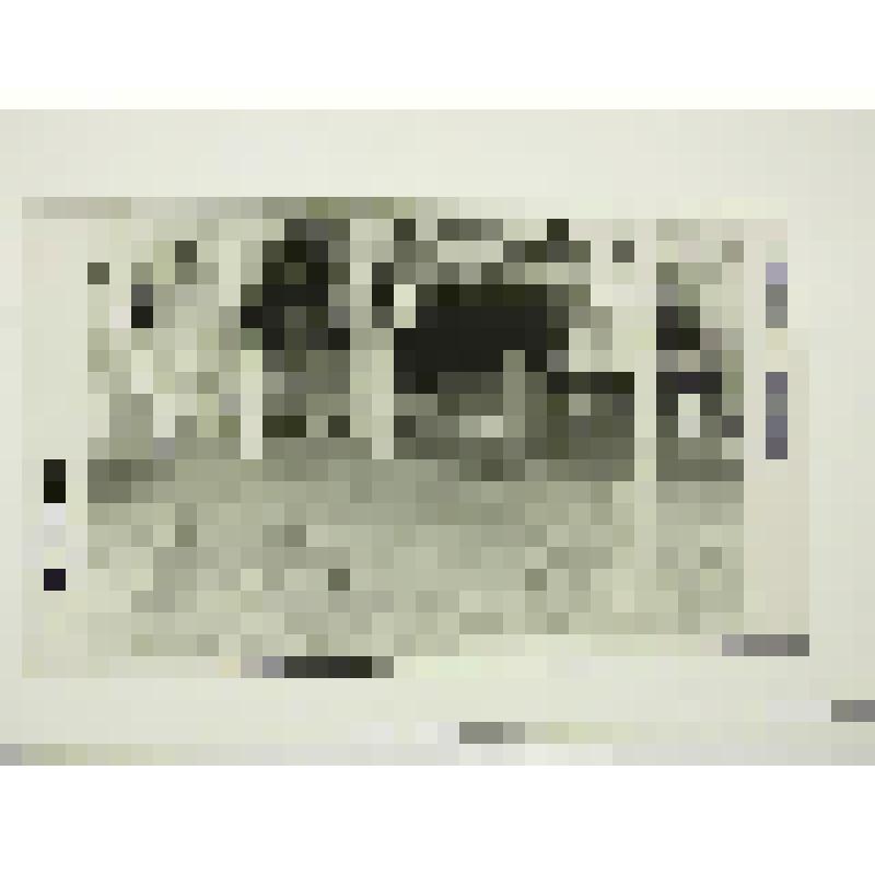 Памятник защитникам города 1941 г. 1975 г. Украина, г. Днепропетровск. Памятник защитникам города 1941 г. Парк им. Калинина. Никон В. А. Общий вид 