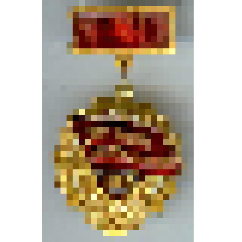 Знак нагрудный наградной «Победитель соцсоревнования 1980» Абрамова Николая Васильевича, слесаря-инструментальщика завода «Сардизель»