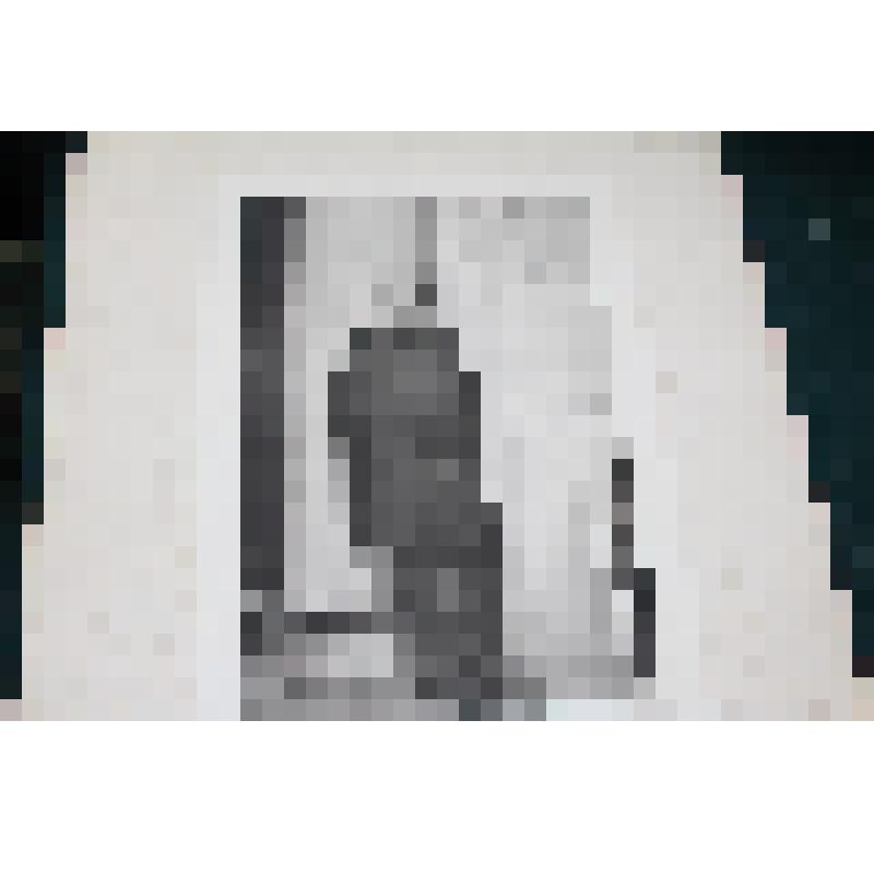 Репродукция "А.П.Бородин". С картины Репина И. Изд. Кнебель