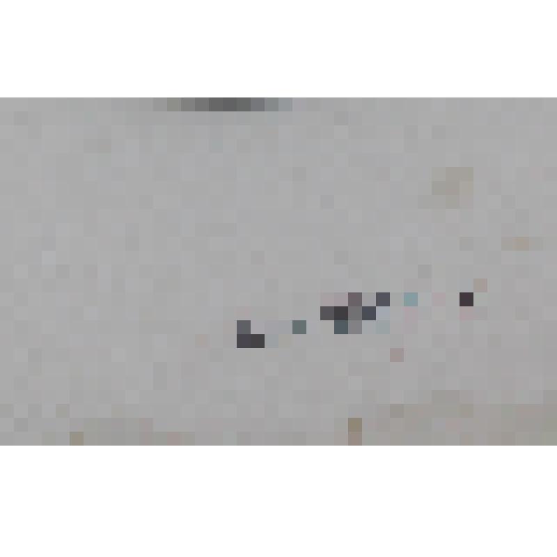 Репродукция "А.П.Бородин". С картины Репина И. Изд. Кнебель