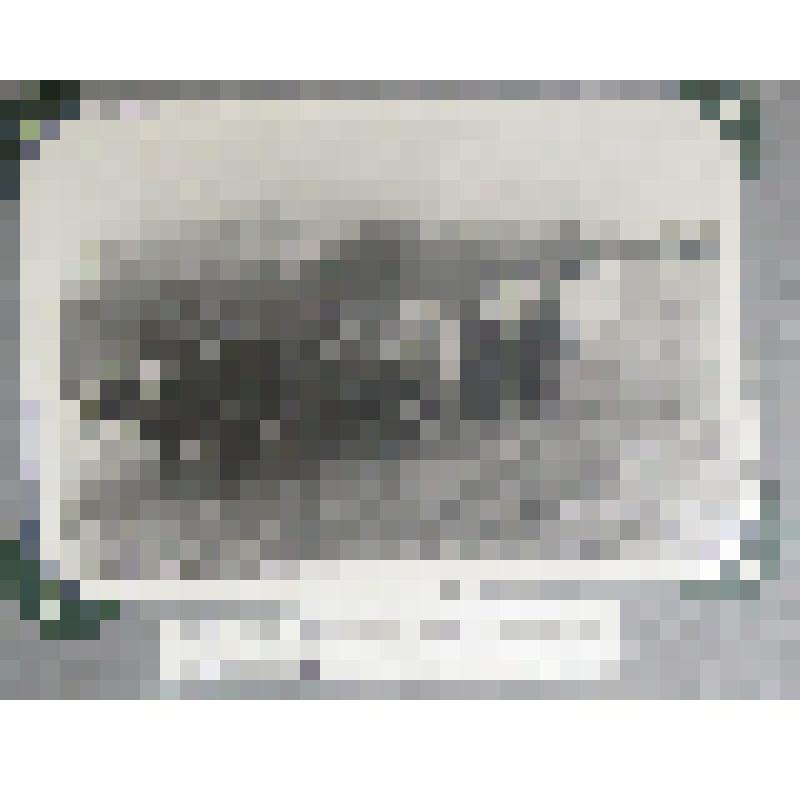 Черно-белая фотография из альбома "Кузедеевский Райпромкомбинат".Уборка урожая на участке Чарышта