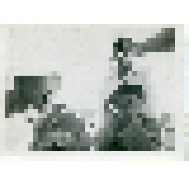 Фотография. А.В. Луначарский, погрудно, фас, улыбается, сидит, рядом сидит женщина и смотрит в бинокль, сзади стоит мужчина