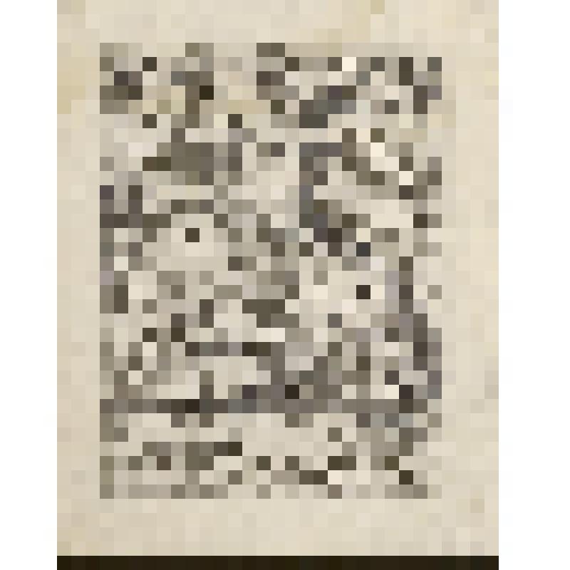 Бонифаций Амербах (1495—1562) — швейцарский композитор, фонд западноевропейского  гравированного портрета