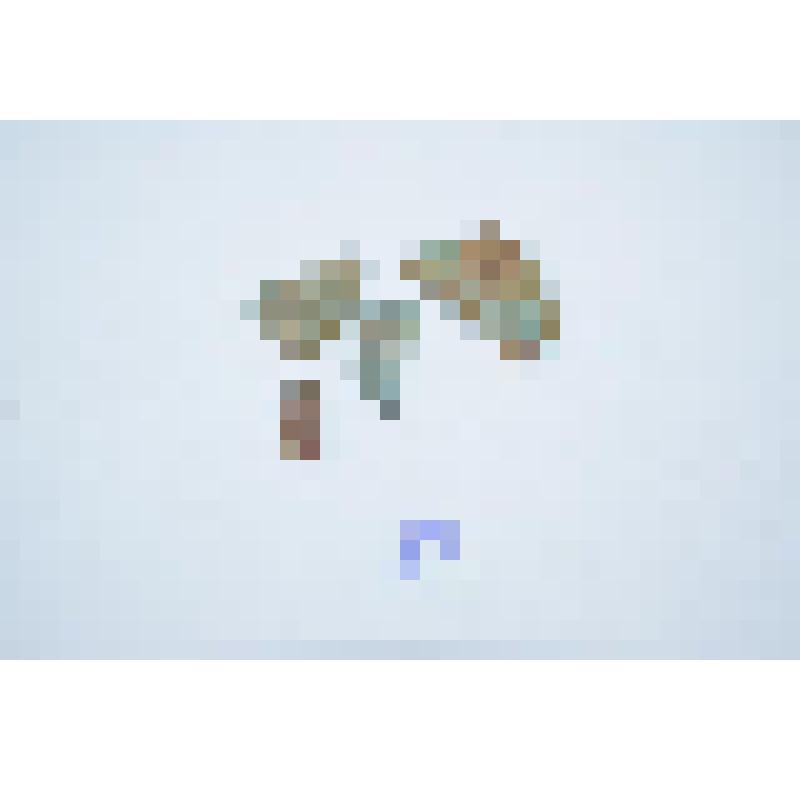 Монета. Монета (фрагмент). Дирхем