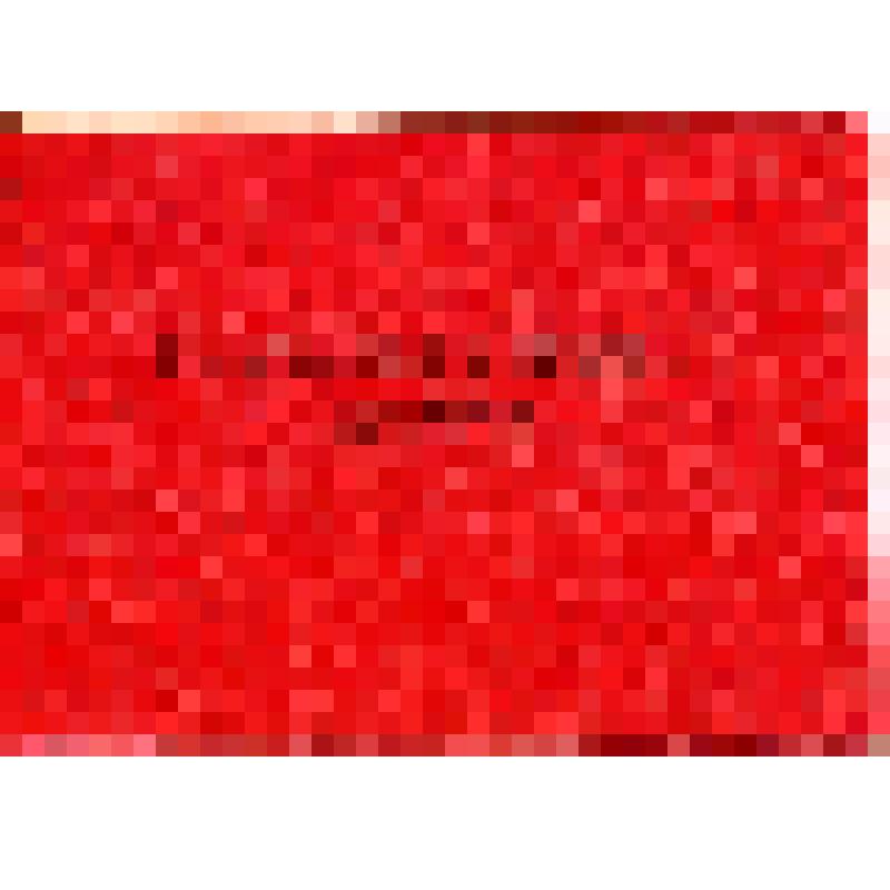 Удостоверение № 38 Кривошеевой Виктории Геннадьевны, является первым секретарём Поронайского горкома ВЛКСМ. Действительно до декабря 1991 г