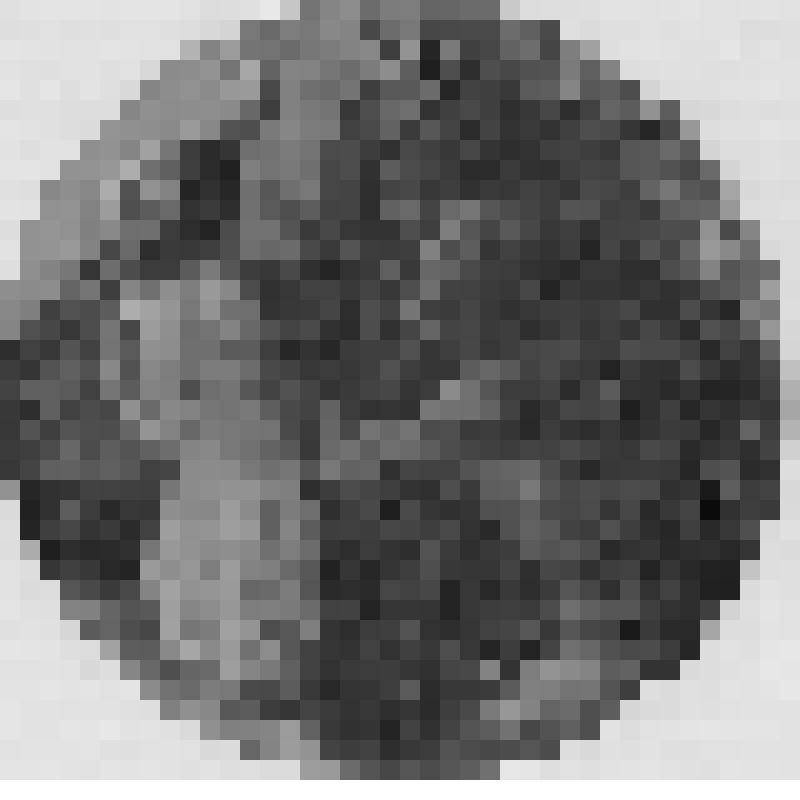 Большой дворец. Танцевальный зал. Тондо Дж.Валериани "Пан и Сиринга"